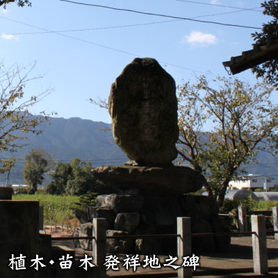 殖木 植木・苗木 発祥地之碑