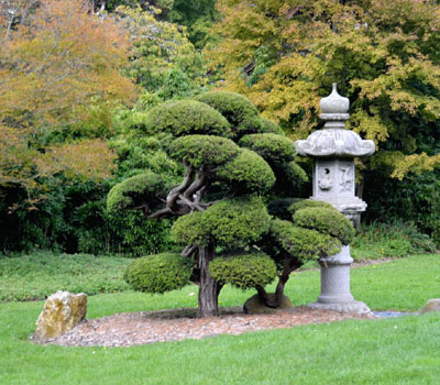 株式会社たなか 植木苗木